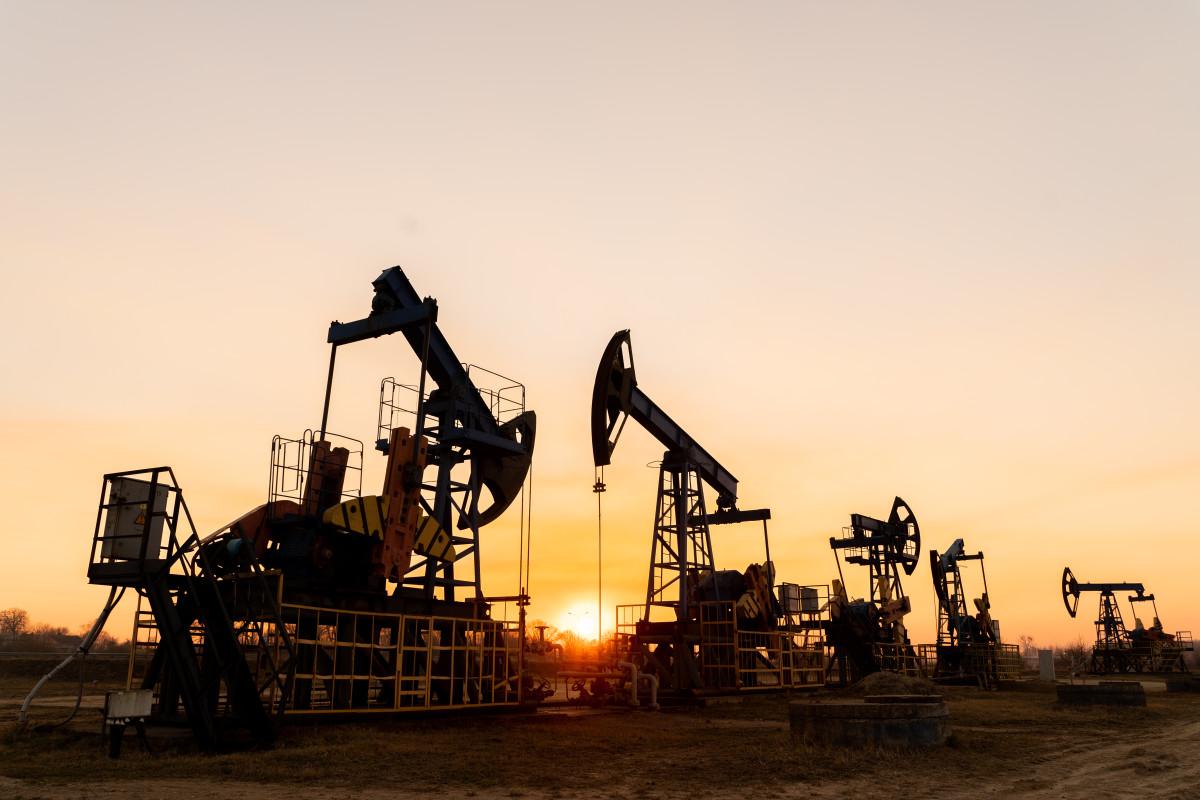 U.S. economy will show resilience, despite rising oil prices
